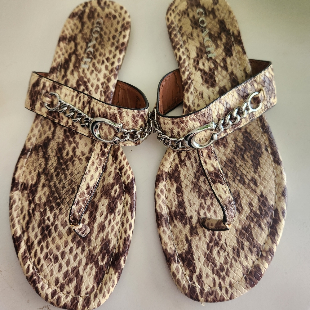 Coach Jaclyn Snakeskin Sandals with Silver Chain Size 9.5